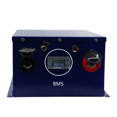Ultraportable BMS Battery Management System 100ah 200ah For Lifepo4